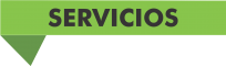 TITULO SERVICIOS